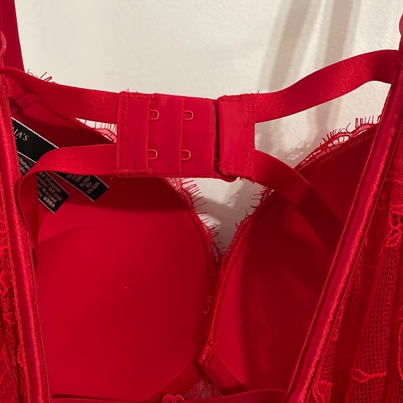 VS bombshell Teddy - Picture 8 of 12